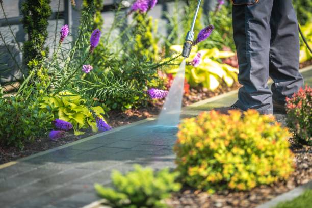 Best Pre-Holiday Cleaning  in Sanborn, NY