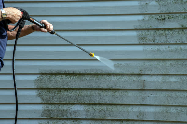 Pre-Holiday Cleaning in Sanborn, NY